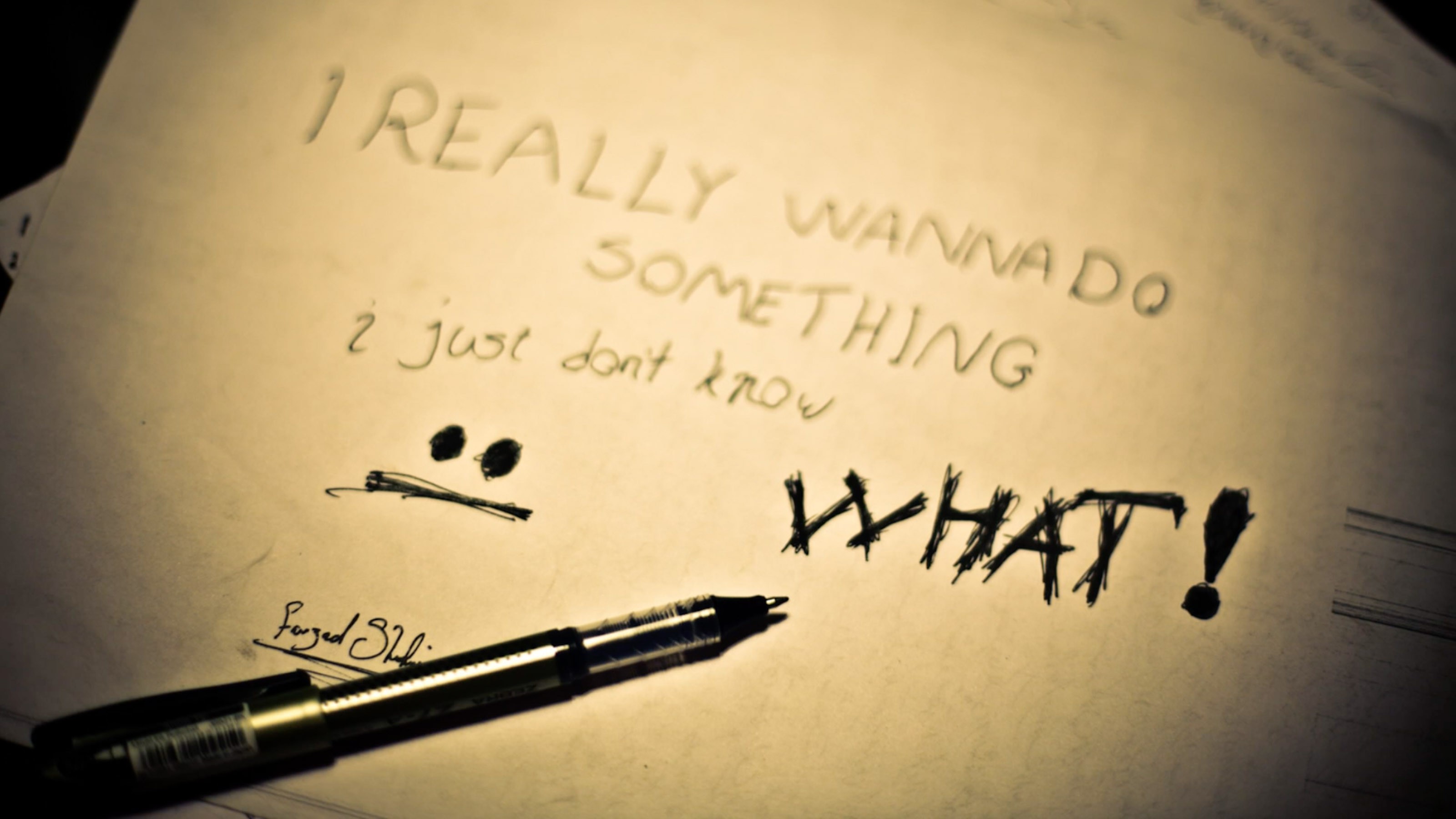 Farzad Shafai Video Portfolio